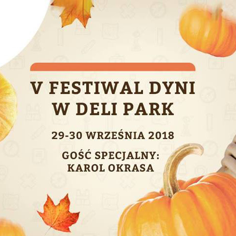 V Festiwal Dyni