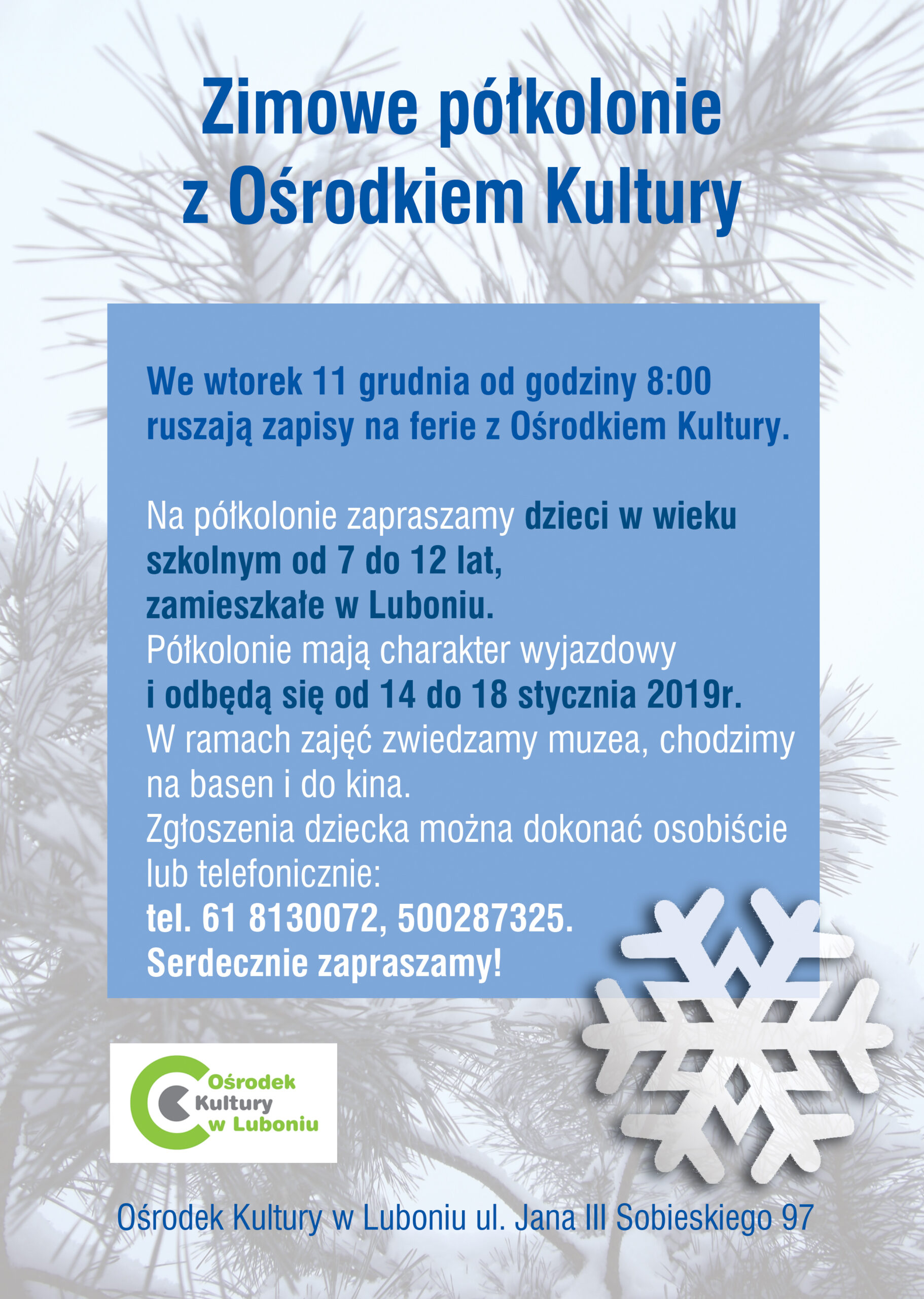 Półkolonie w Luboniu