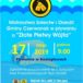 plakat mistrzostwa sołectw i osiedli gminy czerwonak w pływaniu o Złote Płetwy Wójta