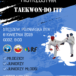 Plakat na zawody teakwondo na 6 kwietnia 2019 w Stęszewie
