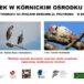 Plakat na prezentację fotografii w Kórniku na 17 marca 2019