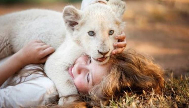 Mia i biały lew