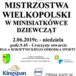 Plakat Mistrzostwa Wielkopolski w Minisiatkówce dziewcząt, 2 czerwca 2019, godz. 9:45, Hala Rokietnickiego Ośrodka Sportu