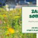 Plakat na wysiew łąki kwietnej w Luboniu na 28 września 2019