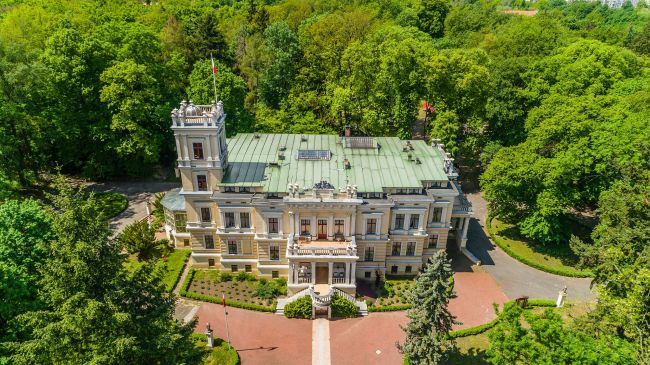 Pałac Biedrusko 