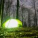 namiot w lesie
