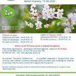 Spływ kajakowy