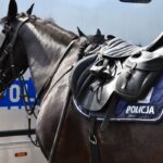 koniowów policjny w żydowie prezentacja
