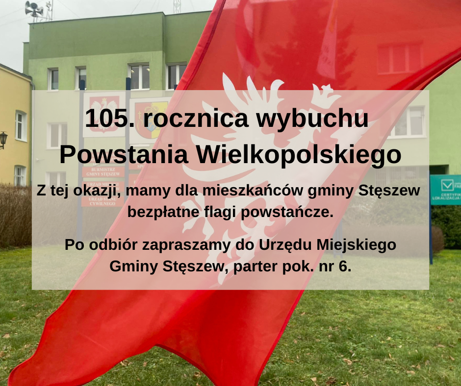 Obchody Powstania Wielkopolskiego w Stęszewie