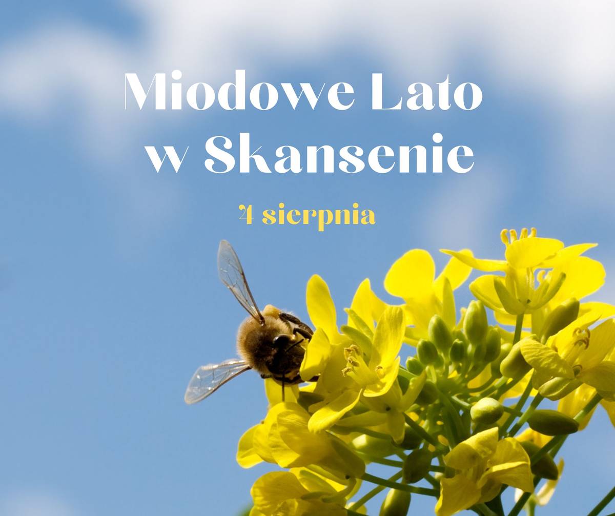 Miodowe lato w Swarzędzu