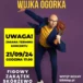 Afisz Koncert Wujek Ogórek