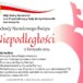 Obchody Niepodległości w Komornikach