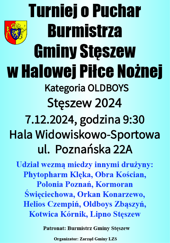 Turniej Halowej Piłki Nożnej w Stęszewie