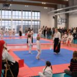 VI Puchar Świętego Mikołaja w Karate Tradycyjnym