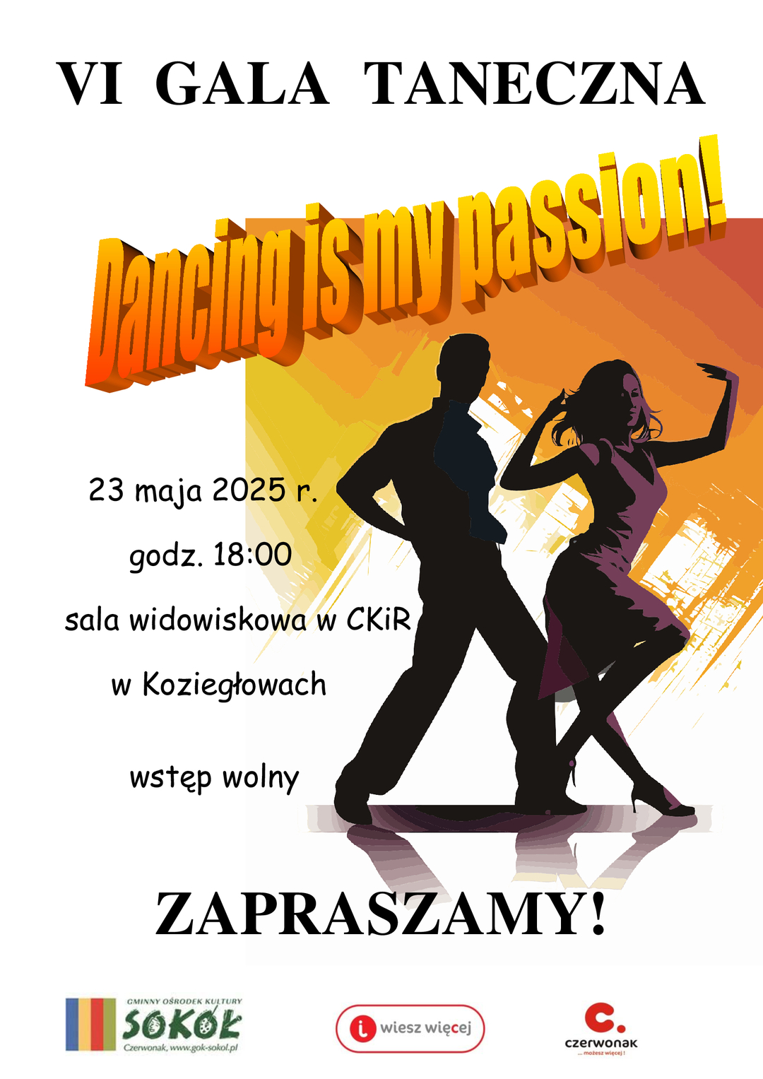 VI Gala Taneczna