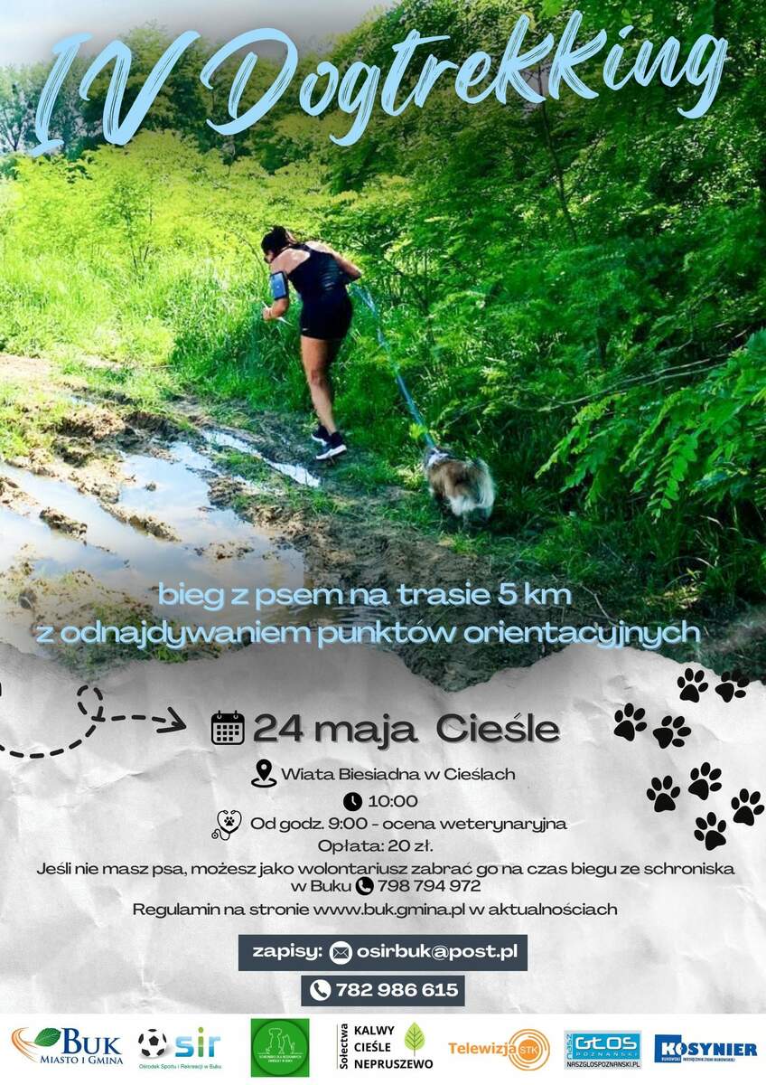 IV Dogtrekking