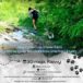 IV Dogtrekking