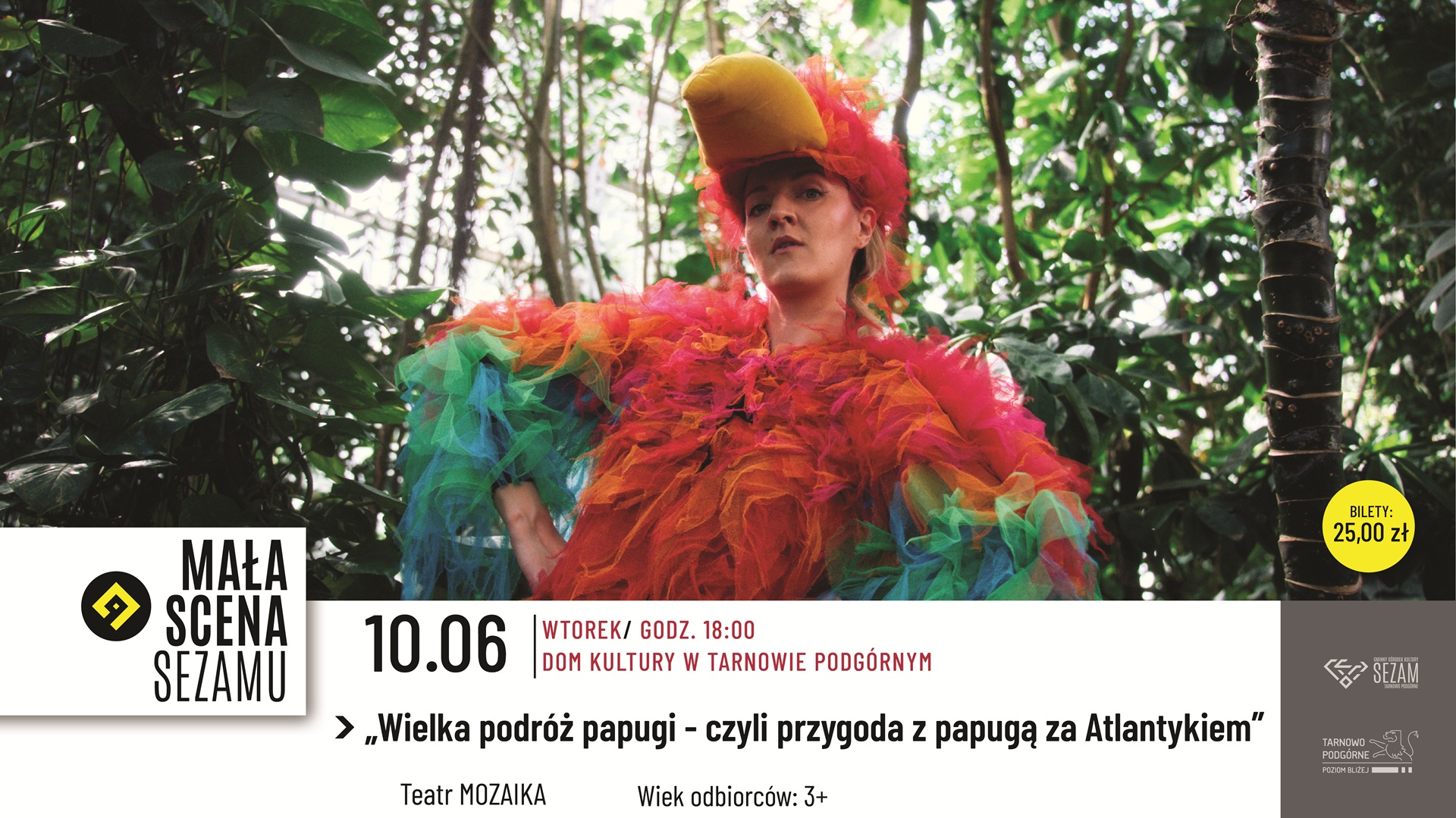 Wielka podróż papugi