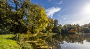Arboretum Kórnickie