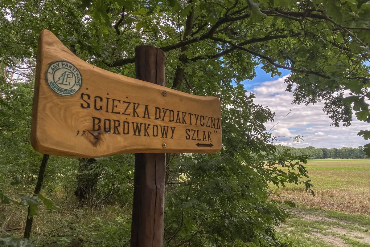 relacja z questów