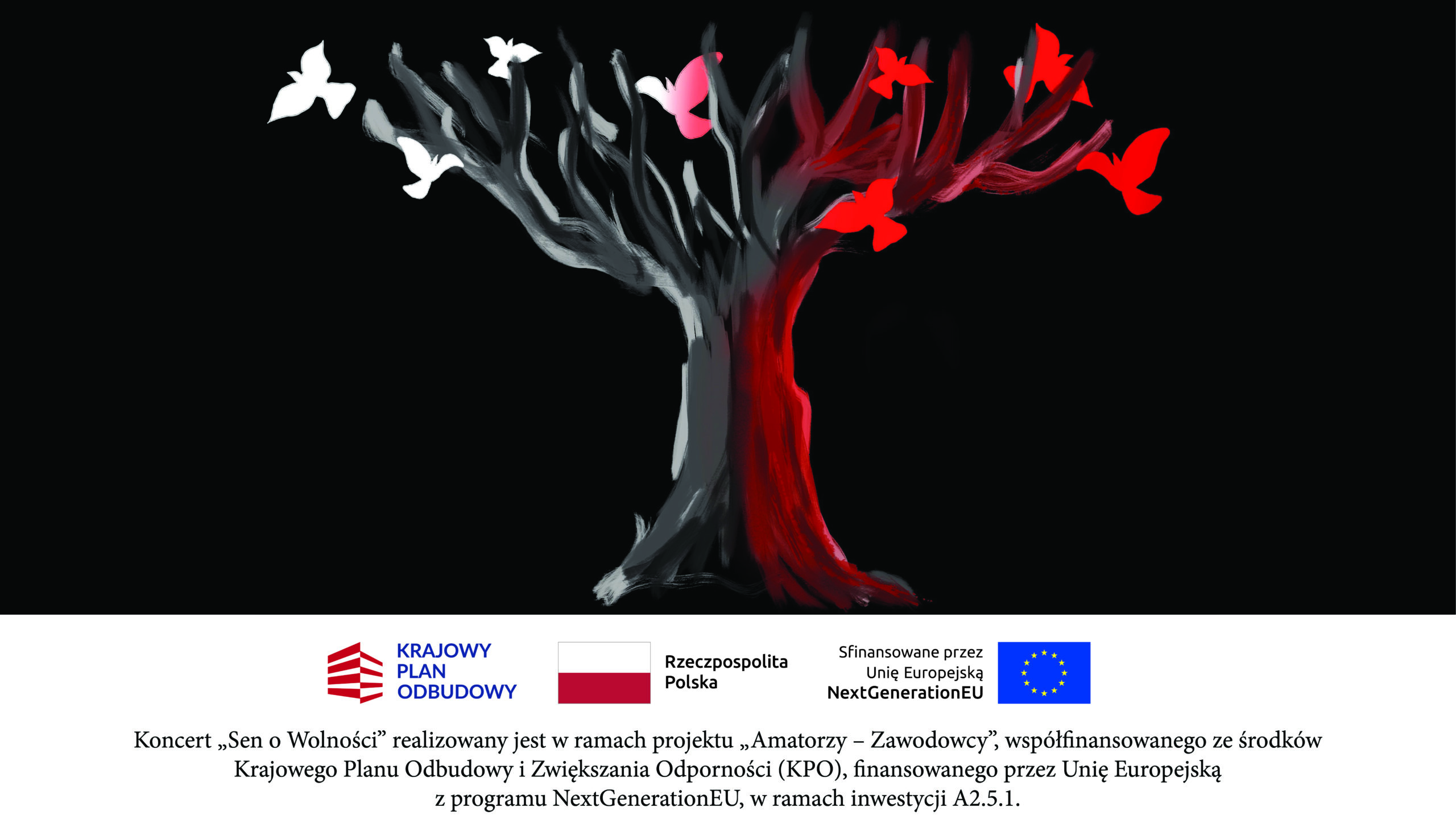 Plakat koncertu muzycznego