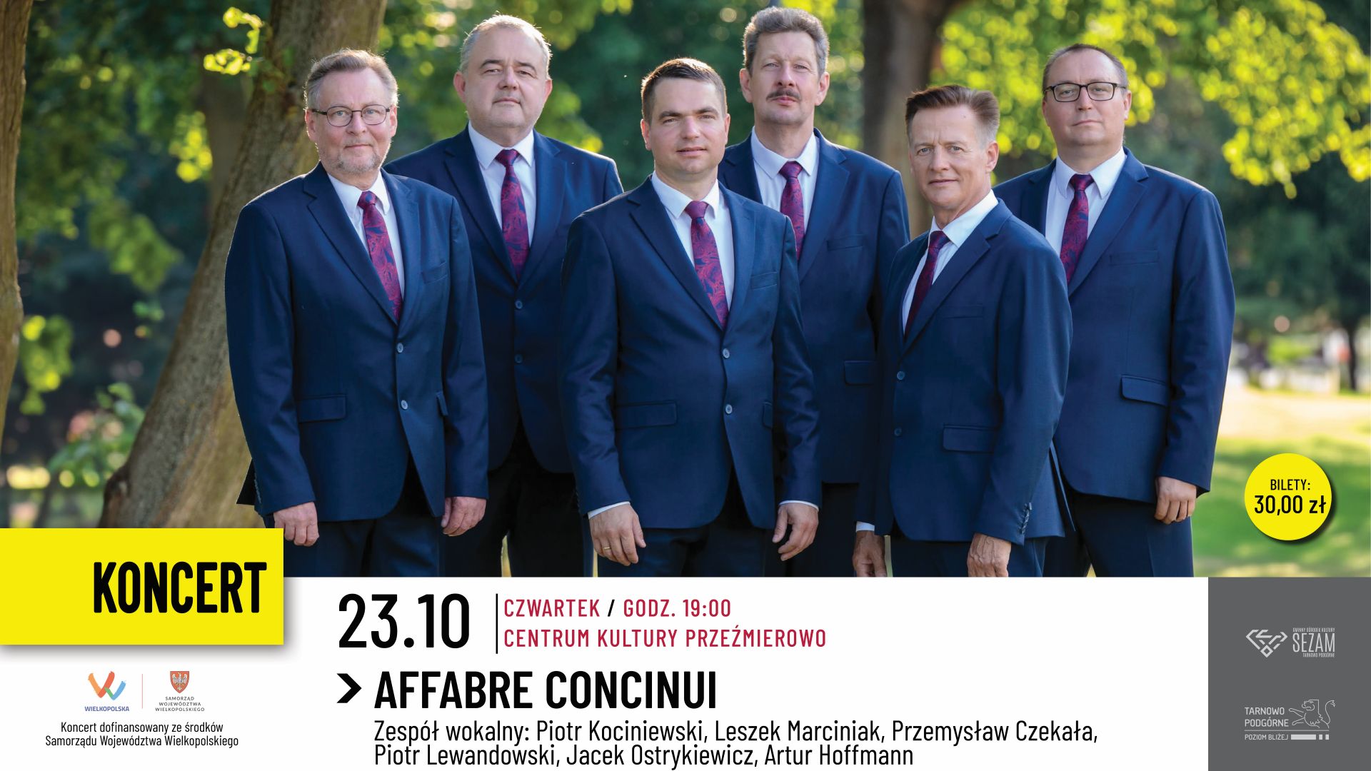 Affabre Concinui plakat zespołu