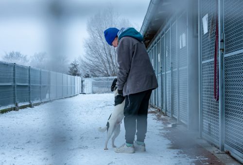 W mrozy pamiętajmy o naszych czworonogach