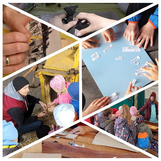 Kompilacja różnych zdjęć