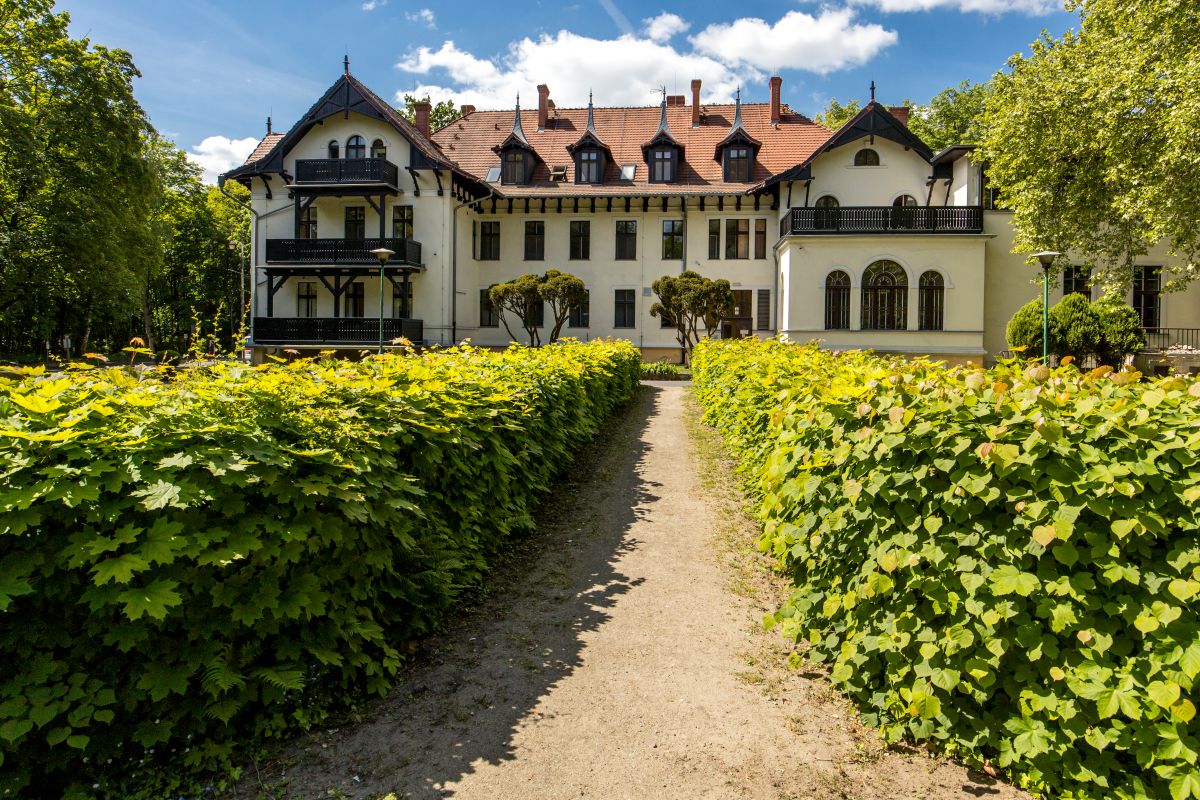 Więcej niż słowa… – sanatorium w Ludwikowie